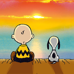 Charlie Brown V-Neck Top in Sunset